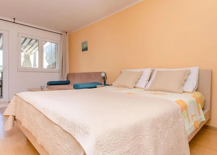 Edita * 特罗吉尔